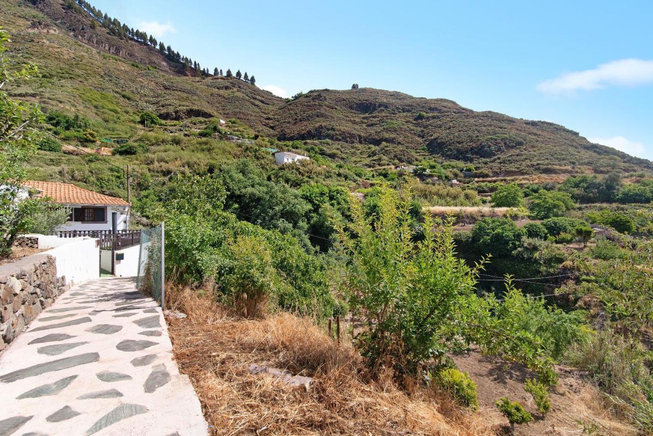 Casa Abuela Fela Villa Вега де Сан Матео Екстериор снимка